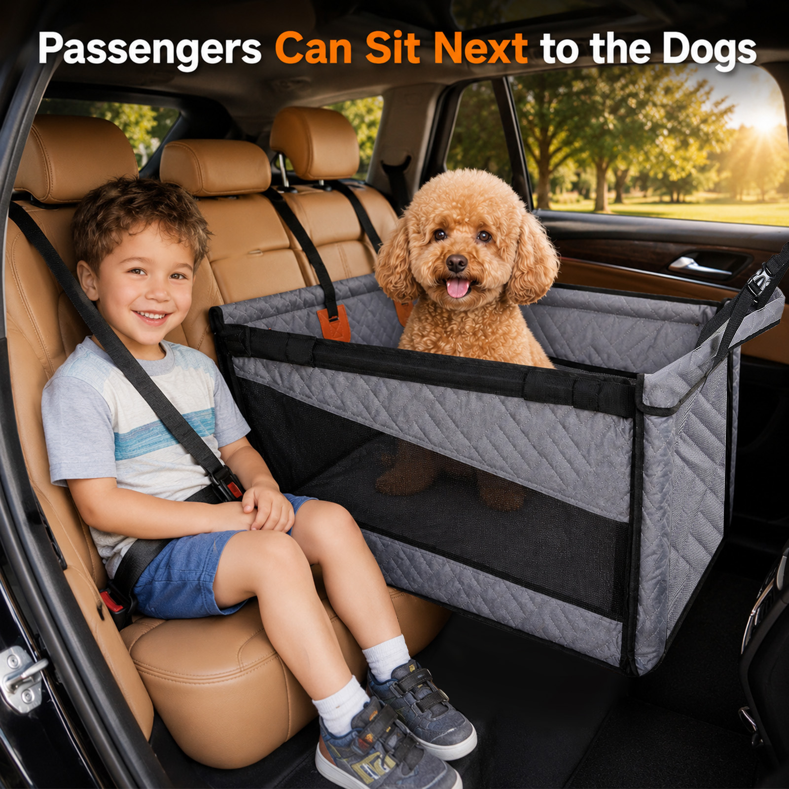 seggiolino per cani da auto